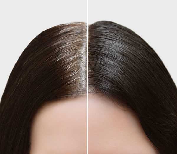 Gray Roots Touch Up Professional Temporary Hair Color GreyFree